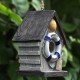 Parrot Outdoor Bird House for Winter Warmth Hanging Nest Resin Craft Ornament for Yard Decoration