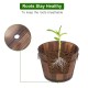 Outdoor Reinforced  And  Anticorrosive Wooden Pot Set Of Three